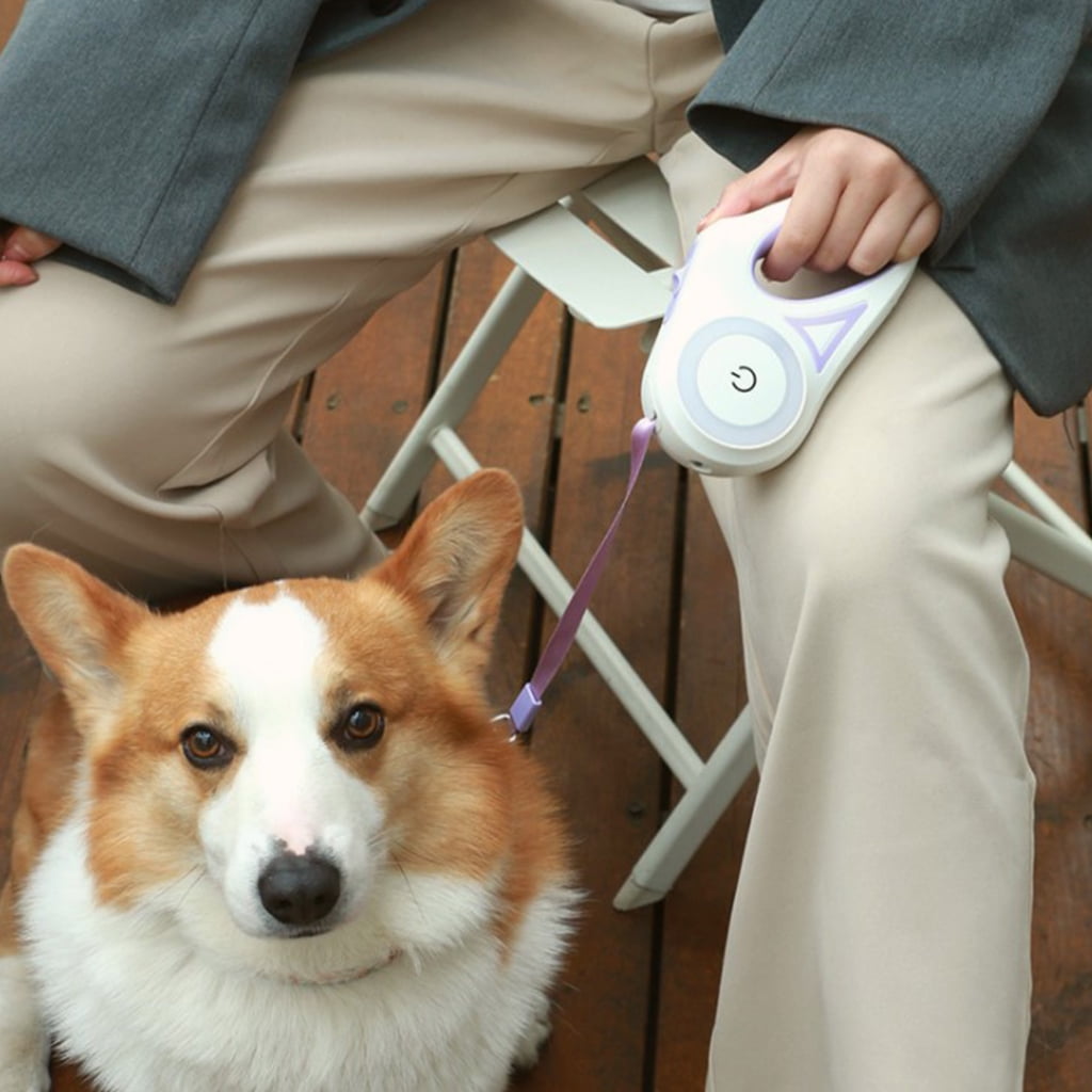 CIYISON Automatic Retractable Dog Leash Pet Collar Durable Rope with LED Night Light