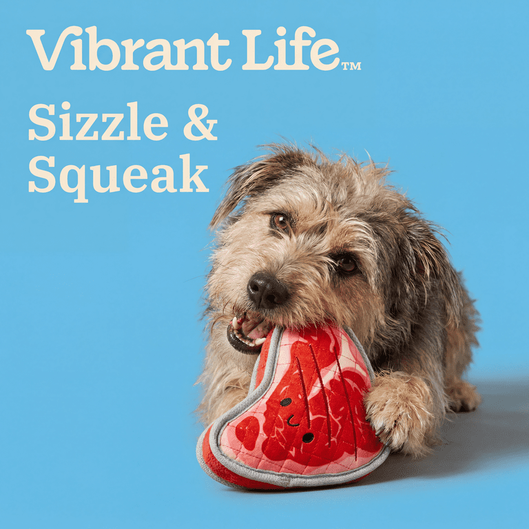 Vibrant Life Tough Steak Plush Dog Toy, Multicolor photo 4