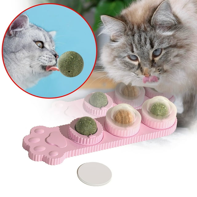 Interactive Toy for Health and Play with Three Polygonum Aviculare Lick Sticks Grinding Teeth Cleaner