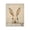 Peeking Bunny Soft Neutrals Portrait, variant on Stupell Industries Peeking Bunny in Soft Neutrals Black Framed Floater Canvas Wall Art, design by LSR Design Studio