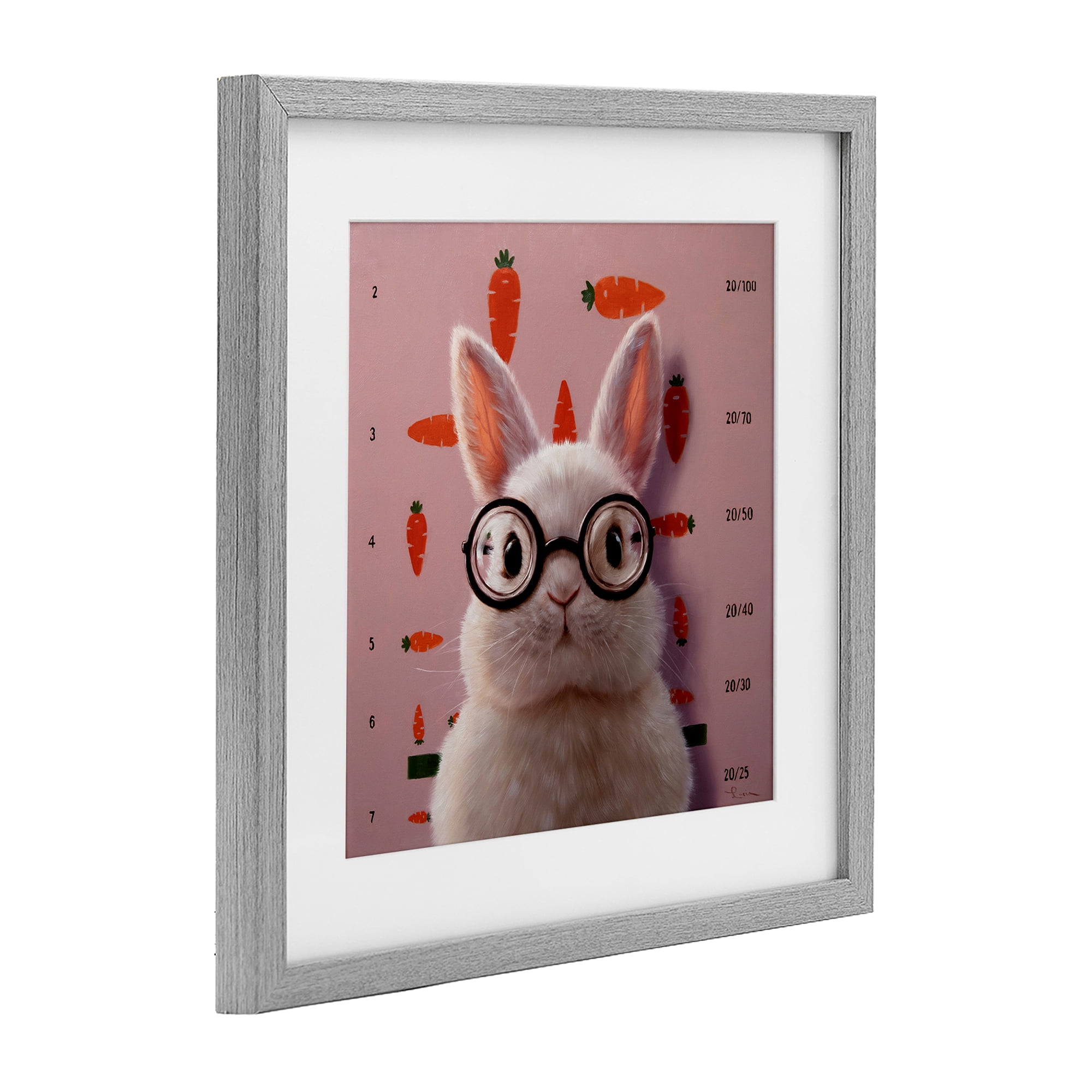 Bunny & Carrots Eye Exam Gray Framed Print Under Glass, design by Lucia Heffernan