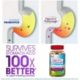 thumbnail image 7 of Digestive Advantage Daily Probiotic Gummies For Digestive Health, Gut Health & Immune Support, Probiotics For Men and Women (80ct) - Delicious Natural Fruit Flavor* (Pack of 3), 7 of 7