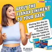 (2 pack) Flanax Pain Relief Liniment, Triple Action, 1 Ounce