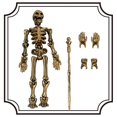 thumbnail image 2 of Articulated Skeleton Poseable Desktop Sculpture with Movable Joints for Collectors, 2 of 4