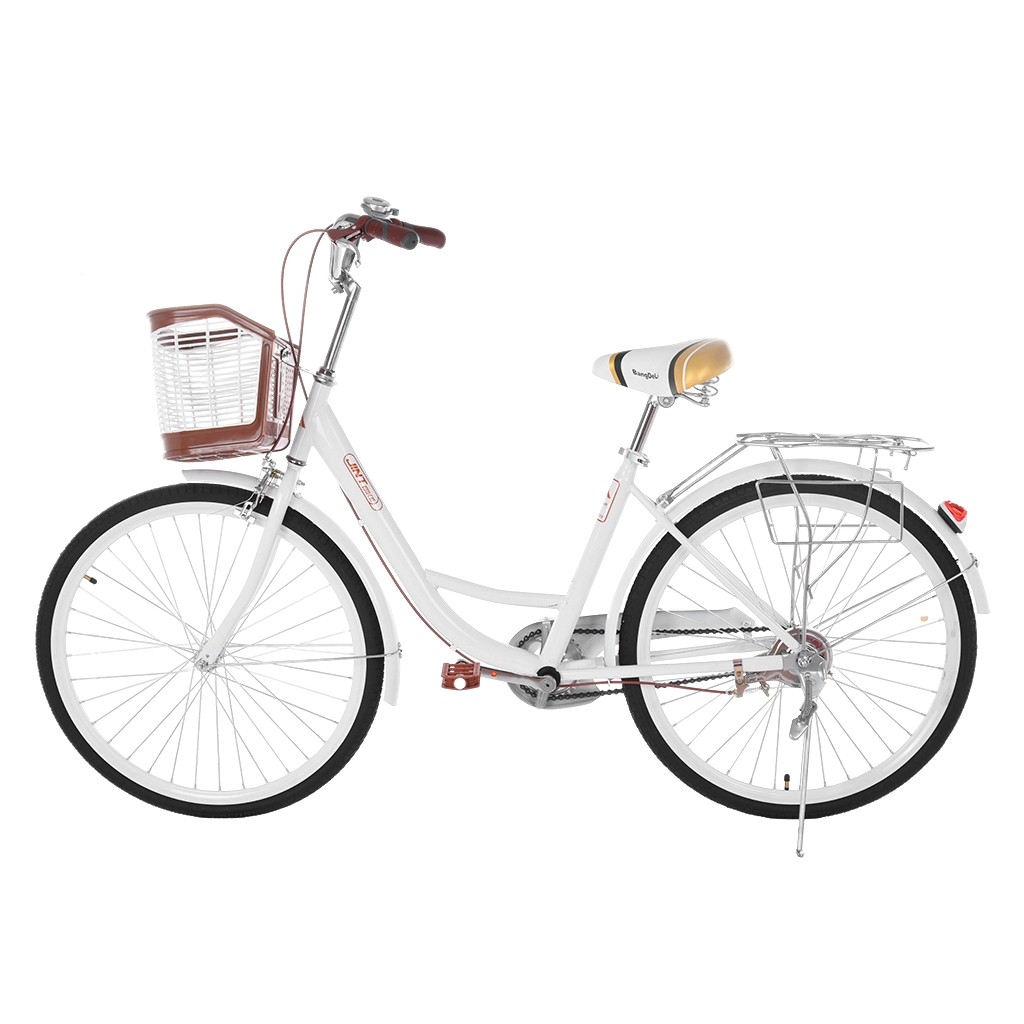 womens retro bike with basket