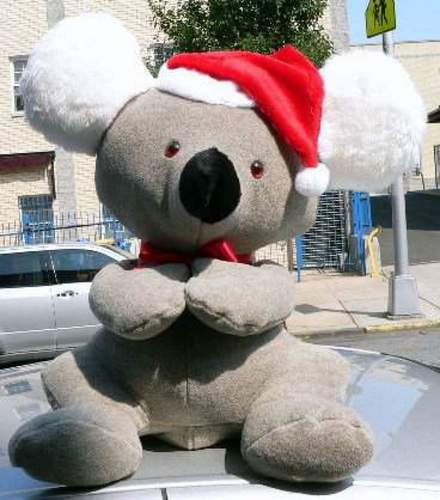 big stuffed koala