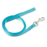 Vibrant Life Solid Nylon Dog Leash, Teal, Small, 5-ft, 3/8-in