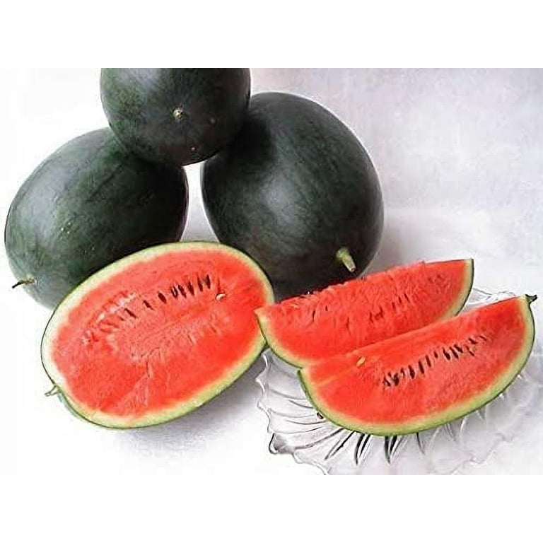 MITRAEE 100pcs Densuke Watermelon Fruit Seeds - Walmart.com
