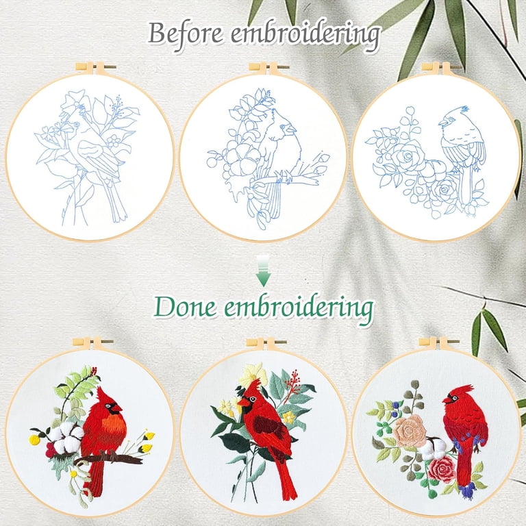 VETPW Embroidery Kit for Beginners, Red Birds Stamped Set photo 4