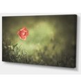 thumbnail image 2 of Red Wild Poppy Flower on Green - Floral Canvas Art Print, 2 of 3