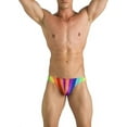 thumbnail image 4 of Gary Majdell Sport Mens New Thick Rainbow Stripe Swimsuit Large, 4 of 4