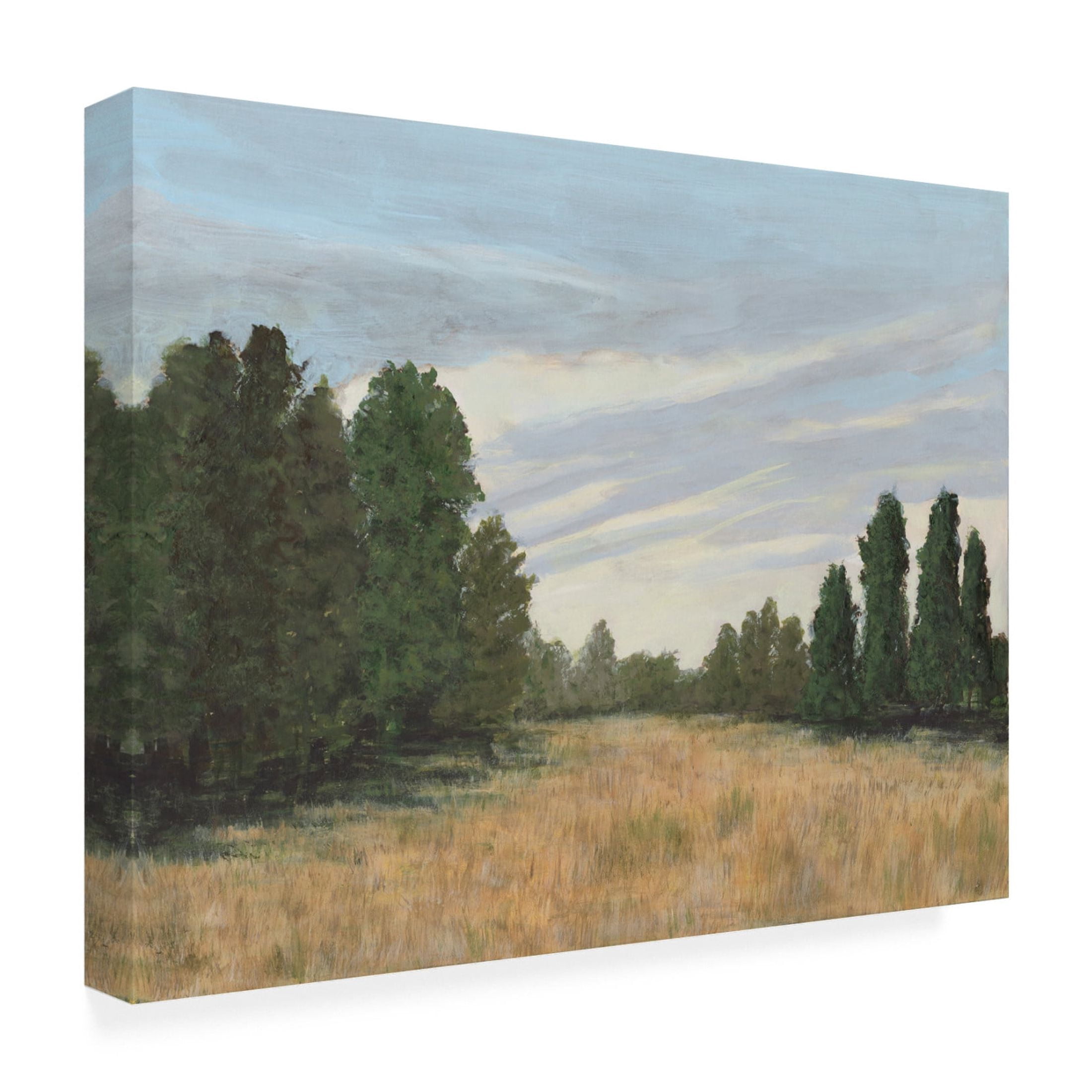 Trademark Fine Art Michael Willett Countryside Clearing II Canvas Wall Art