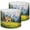 Color 4, variant on Lampshades 2 Pack Colorful Wildflower Farmhouse Floral Scenery Rustic Flower Landscape 13"x13"x10" Light Shade for Table Lamps Floor Lamp Shades Lampshade Replacement Easy Assembly
