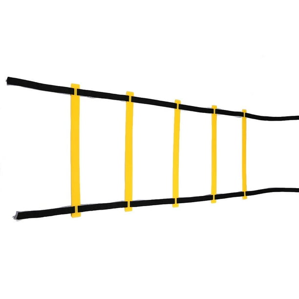 Big 5 agility ladder hotsell