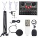 thumbnail image 1 of Kit de Tarjeta de Sonido V8s para Transmisiones en Vivo con Micrófono y Accesorios, Ideal para Grabaciones y Karaoke, Color Blanco con Rejilla Plateada, 1 of 6