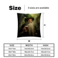 thumbnail image 5 of Saint Patrick's Day Luxurious Velvet Throw Pillow Covers with Unique Patterns - Set of 2 Pillow Covers and Inserts, 16x16, 18x18, 20x20 Inches for All Occasions, 5 of 6