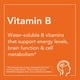 thumbnail image 4 of Suplementos NOW Foods Vitamina B-6 (piridoxina HCl) 100 mg 100 cápsulas vegetarianas, 4 of 5