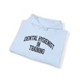 thumbnail image 4 of Dental Hygienist Teeth Cleaner Student Hoodie, Gifts, Hooded Sweatshirt, 4 of 4