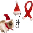 thumbnail image 1 of Gorro de Papá Noel con bufanda, disfraz de conejillo de indias de Navidad, sombrero de rata de Halloween, conjunto de ropa de conejo, traje de regalo de Navidad para hámster, chinchilla, hurón, lagar, 1 of 4