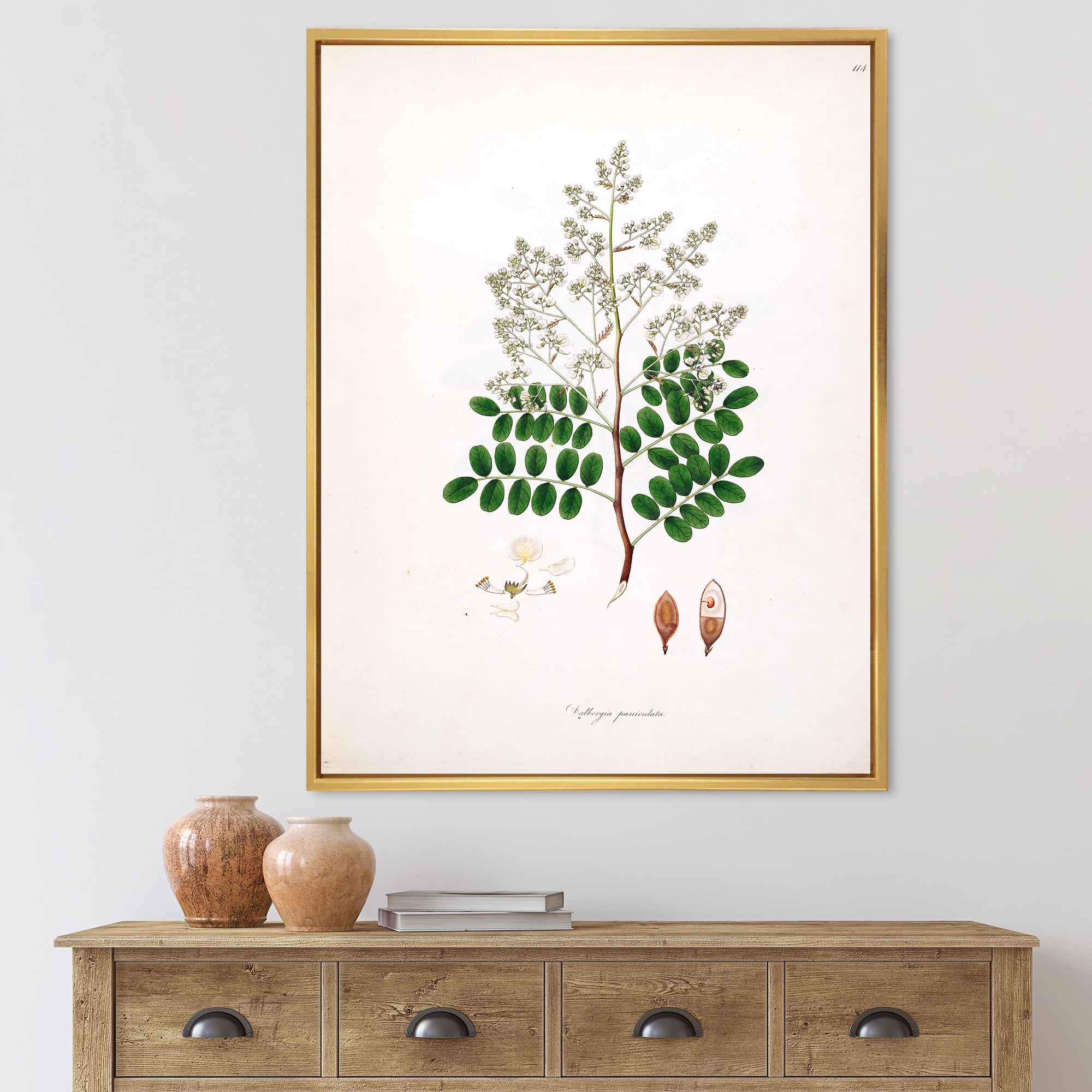 Ancient Botanicals XII 30 in x 40 in Framed Painting Canvas Art Print, by Designart