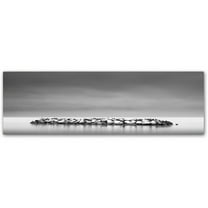 Dave MacVicar 'Sugar Coated' Canvas Art