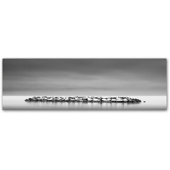 Dave MacVicar 'Sugar Coated' Canvas Art