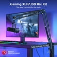 thumbnail image 3 of FIFINE Juego de micrófono para juegos XLR/USB, micrófono dinámico para PC para transmisión de podcasts, kit de micrófono RGB para computadora con soporte de brazo, botón de silencio, conector para aur, 3 of 5