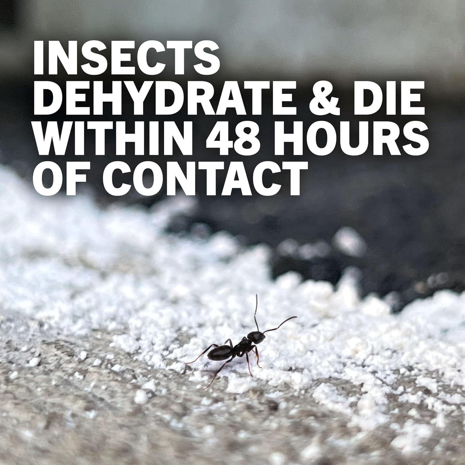 Home Diatomaceous Earth 4 lb Organic OMRI DE - Cockroach Killer Indoor Home, Bed Bug Killer, Kills Fleas, Ants, Silverfish, Earwigs & Crawling Insects