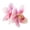 B, variant on Floral Barrettes for Girls Hair Daily Wear Decorative Hair Clips Stylish Summer Holiday Accessory for Women and Kids Cloth Flower Pin for Ponytail Updo