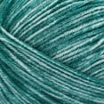 thumbnail image 2 of Red Heart® Comfort® Yarn, Prints, Acrylic #4 Medium, 12oz/340g, 649 Yards, 2 of 4