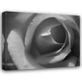 thumbnail image 1 of Scott Larson 24x20 Gallery Wrapped Canvas Wall Art Titled - Single Rose II, 1 of 4