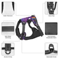 thumbnail image 6 of Fotbe Rainbow Lgbt Penguin Pattern Dog Harness, No-Pull Pet Harness with 2 Leash Clips, Adjustable Soft Padded Dog Vest with Easy Control Handle for Large Dogs-Medium, 6 of 6