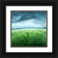 thumbnail image 1 of Barbu, Floriana 12x12 Black Ornate Wood Framed with Double Matting Museum Art Print Titled - Barley Field, 1 of 4