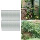 thumbnail image 2 of 36Pcs Plant Stake Arms for Tomato Cage Expandable 11.8" Plant Supports Trellis Connector Clips for Garden Plant Stakes, 2 of 4