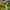 New Mexico Landscape, variant on Elephant Stock New Mexico Landscape Wall Art - Vertical Canvas Wall Art - Living Room Wall Decor - Places Canvas - Teal And Green Decor By Maxine Shore - 8" x 12"