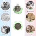 thumbnail image 2 of Bolas de hierba gatera CHAO paquete de 3 productos comestibles juguetes interactivos giratorios Para gatos, 2 of 5