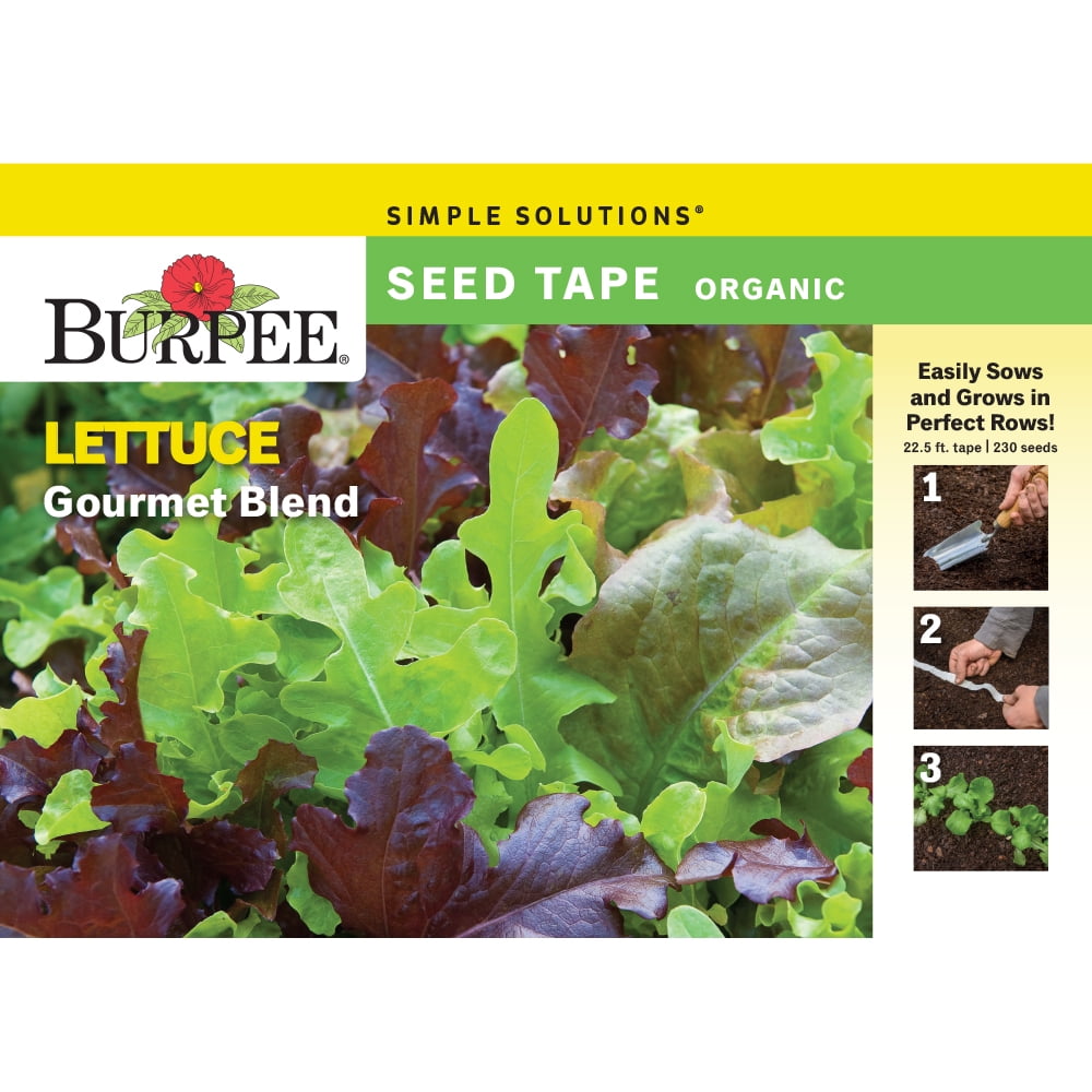 Burpee Organic Gourmet Blend Lettuce Vegetable Seed Tape, 1-pack ...
