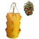 thumbnail image 3 of Contenedor para plantar fresas, bolsa para cultivo de múltiples bocas, maceta para cultivo de plantas, herramienta de jardín lateral, 3 of 5