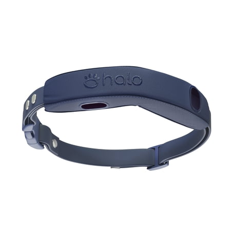 Halo Collar 4 Pro Case + Strap Kit