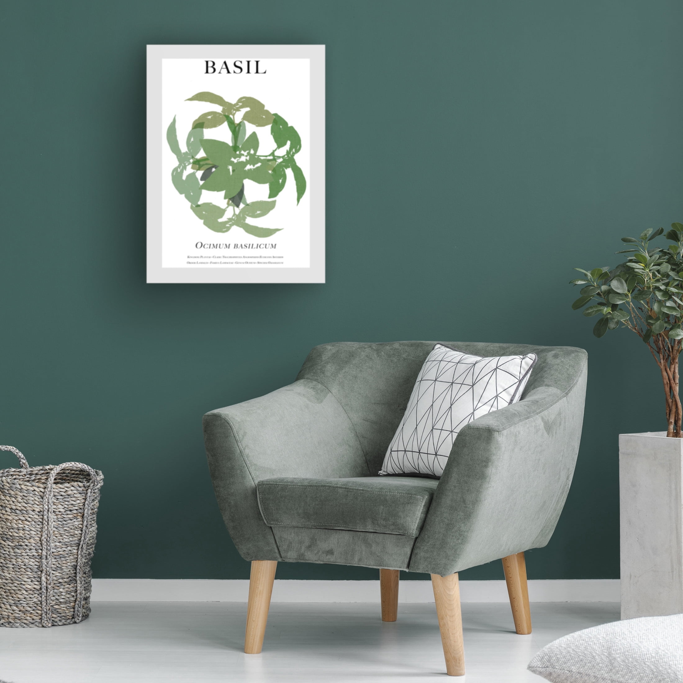 Trademark Fine Art Cartissi Basil Canvas Wall Art