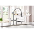 thumbnail image 5 of Blanco KF-442505 Empressa Pull-Down Bridge Kitchen Faucet with Soap Dispenser in Stainless, 5 of 5
