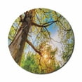 thumbnail image 1 of Forest Mouse Pad for Computers, Vibrant Summer Season Above Oaks Rural Angle Freshness Sky Panorama Art Photography, Round Non-Slip Thick Rubber Modern Mousepad, 8" Round, Green Brown, by Ambesonne, 1 of 2
