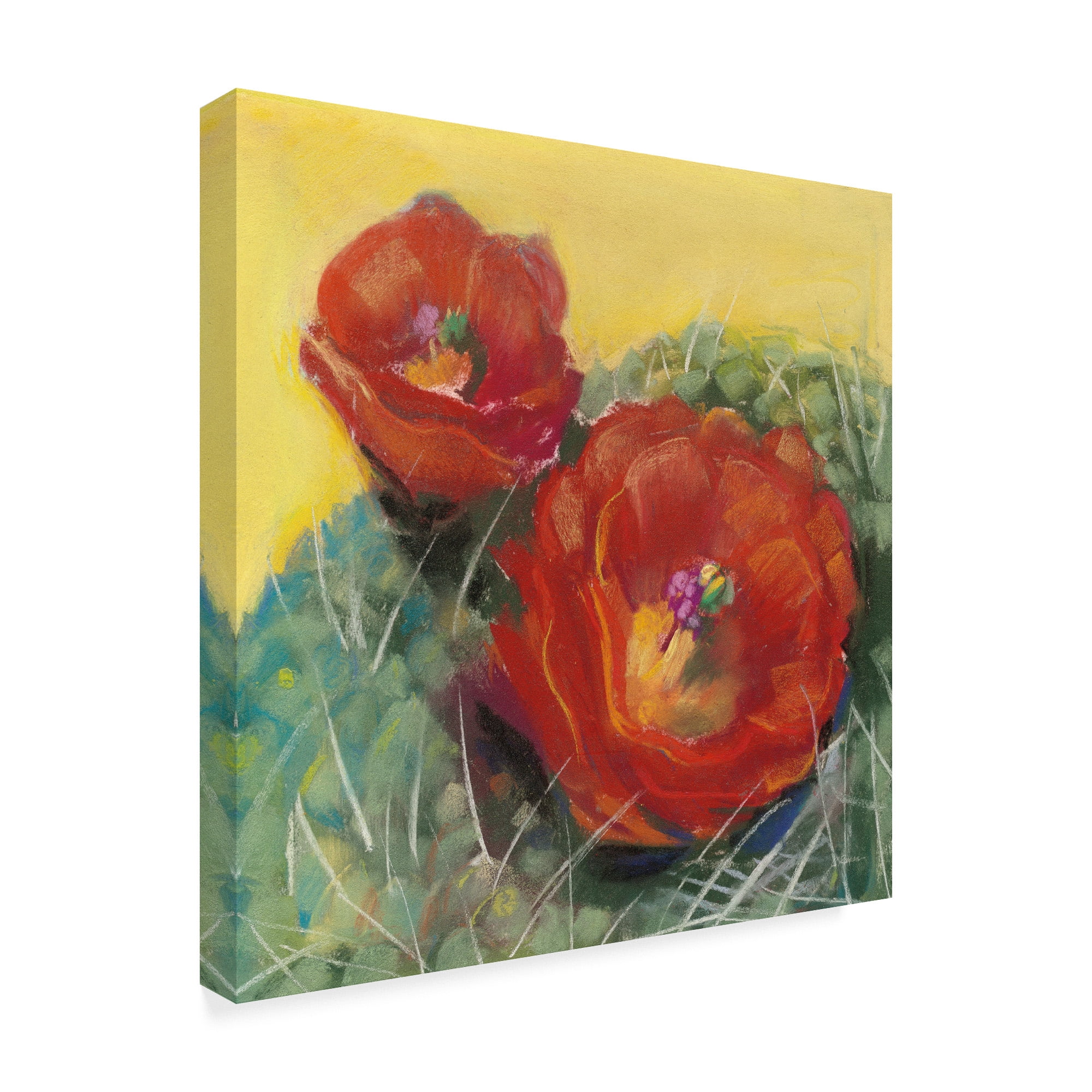 Trademark Fine Art 'Blooming Succulent I' Canvas Art by Carol Rowan