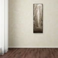 thumbnail image 3 of Trademark Fine Art Alan Blaustein Hampton Gates Promenade Canvas Wall Art - 8x24, 3 of 3