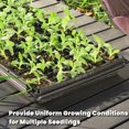 thumbnail image 2 of Gardzen Paquete de 10 Bandejas para Semillas de 72 Celdas, Bandeja de Plántulas Profunda de 1.75", Bandejas Resistentes con Orificios de Drenaje, Compatible con Bandeja Estándar 1020, 2 of 7
