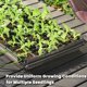 thumbnail image 2 of Gardzen Paquete de 10 Bandejas para Semillas de 72 Celdas, Bandeja de Plántulas Profunda de 1.75", Bandejas Resistentes con Orificios de Drenaje, Compatible con Bandeja Estándar 1020, 2 of 7