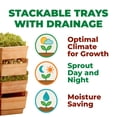 thumbnail image 5 of Tribest GEO Terradisiena 4 Holes Plant Germination Tray with 4-Tier Design, 5 of 6
