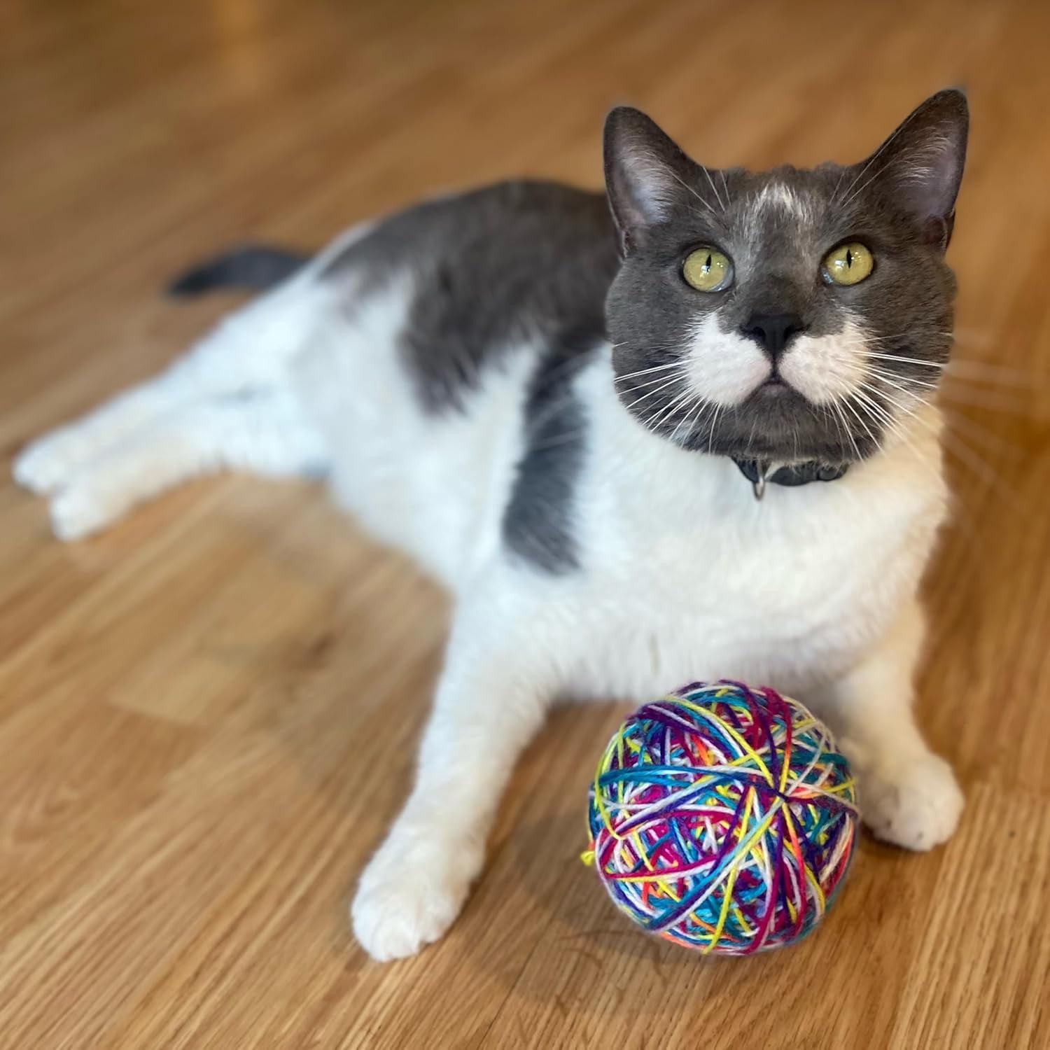 SPOT Sew Much Fun Foam & Yarn Ball Cat Toy with Rattle, No-Unravel Design, 3.5 inch, 1 Count