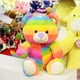 thumbnail image 5 of PELUCHERIA - Peluche de cumpleaños 30 cm Colección Happy, 5 of 5