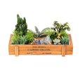 thumbnail image 1 of Multifunctional Wooden Succulent Flower Pot Storage Box Organizer for Potted PlantDark Wooden Color, 1 of 4